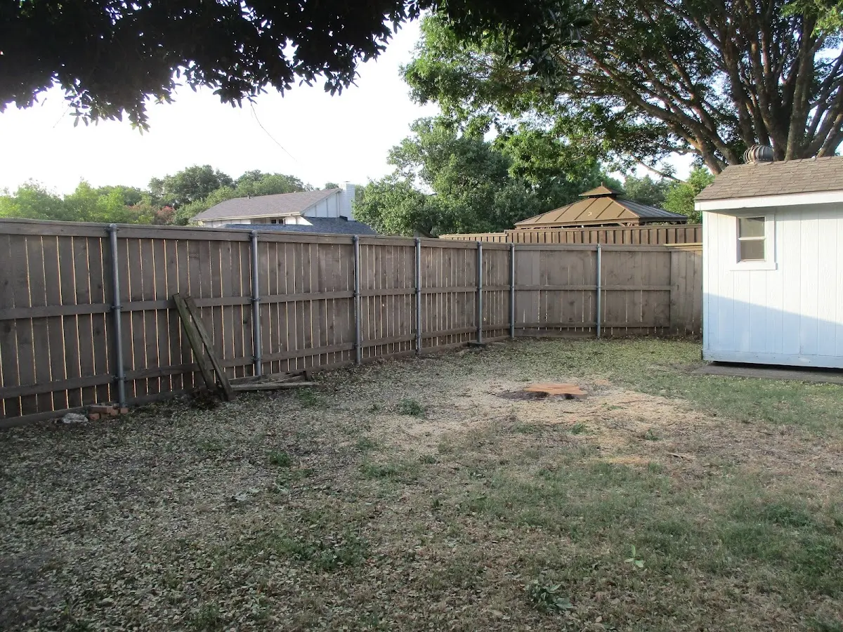 Cleared yard after professional tree removal in Husum